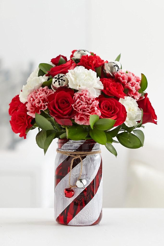 Dumbo Heights In-House Styling